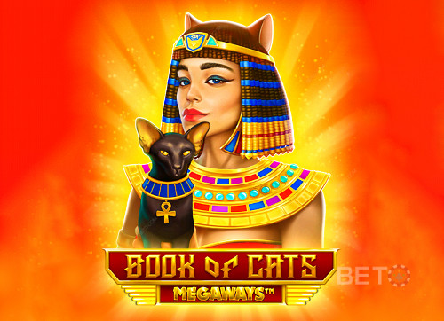 Book of Cats Megaways
