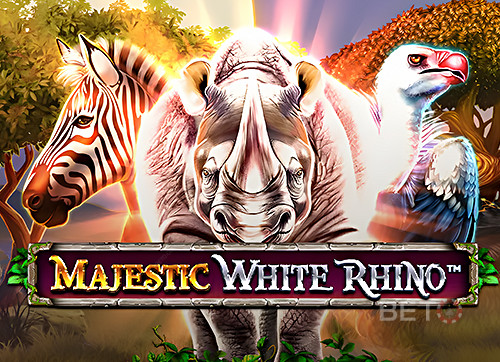 Majestic White Rhino
