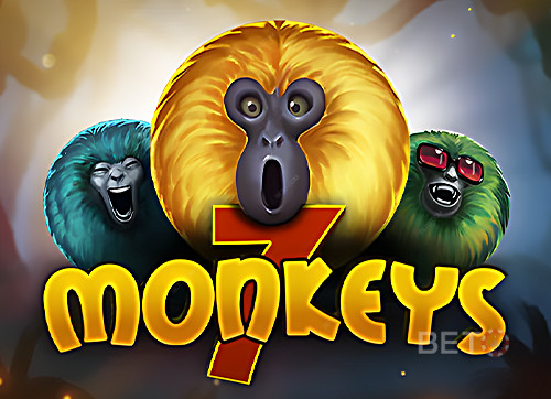 7 Monkeys 