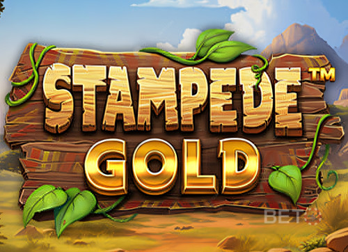 Stampede Gold