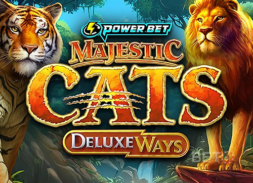 Majestic Cats DeluxeWays