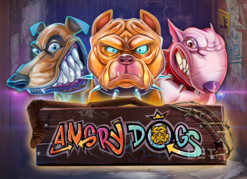 Angry Dogs