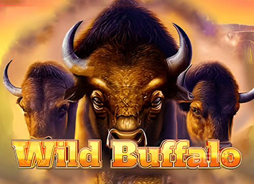 Wild Buffalo