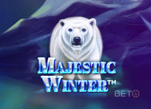 Majestic Winter