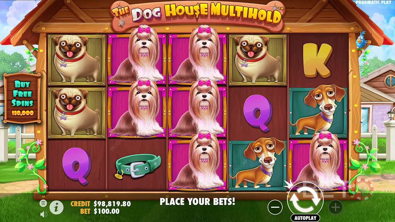 Verdikt pro The Dog House Multihold Video Slot