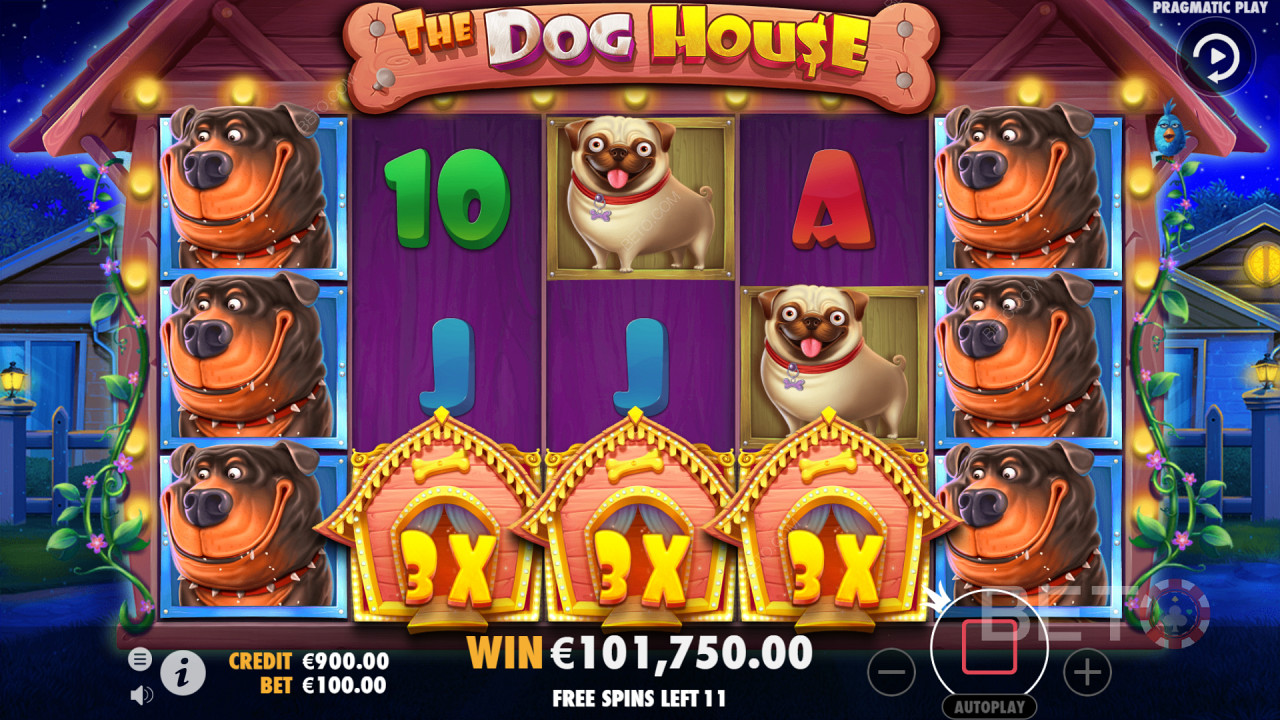Získání vysoce výdělečné kombinace na válcích hry The Dog House