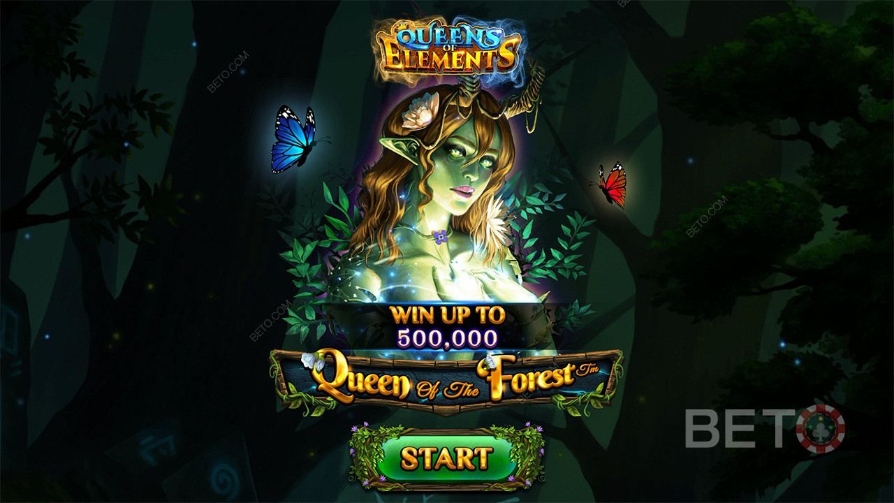 Queen of the Forest Hrát Zdarma