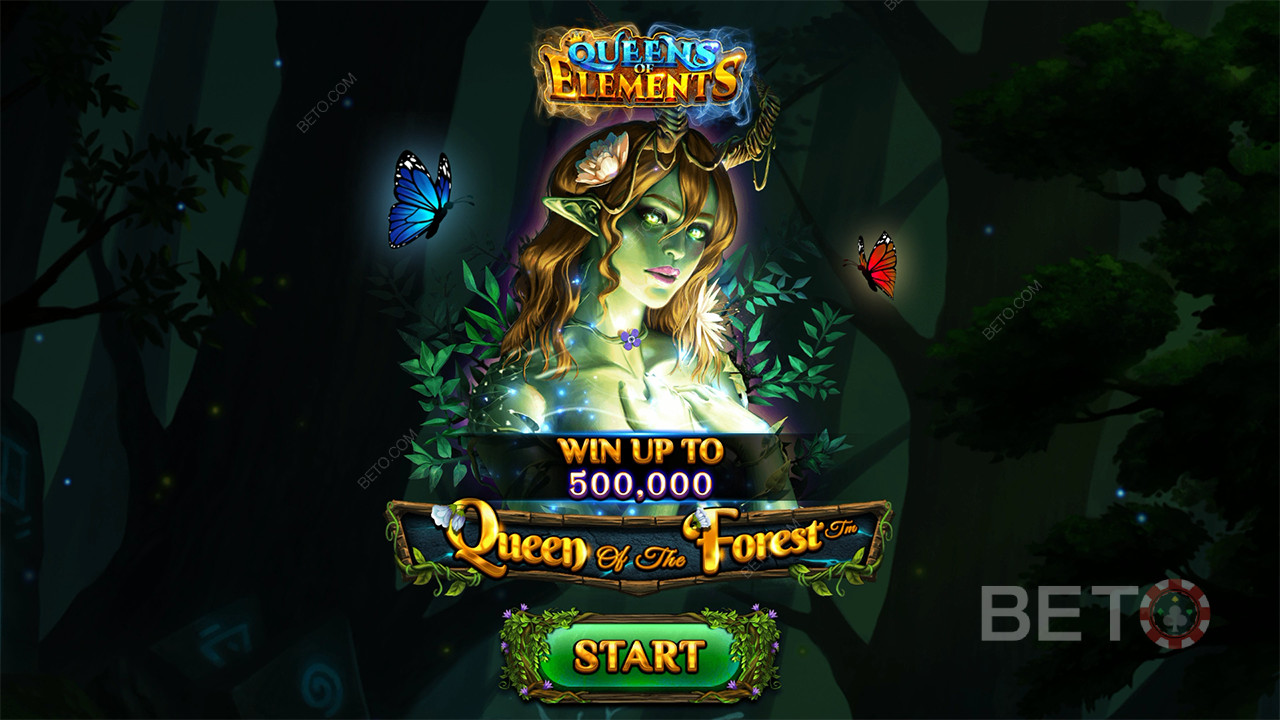Queen of the Forest Recenze podle BETO Slots