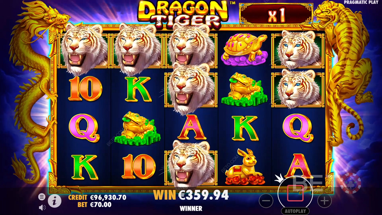 Během bonusu Free Spins v online slotu Dragon Tiger se do hry dostávají násobiče.