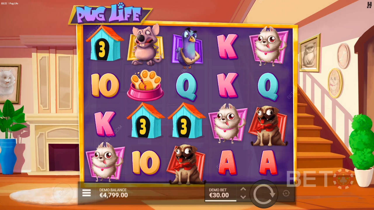 Pug Life Recenze podle BETO Slots