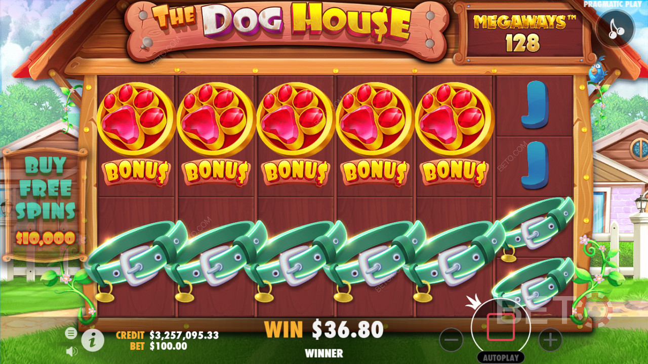 Podrobné herní rozhraní kasin The Dog House Megaways sloty