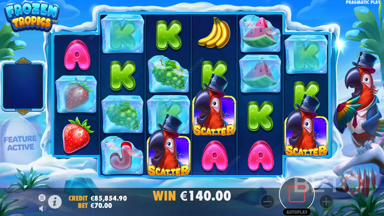 Ke spuštění Free Spins v online slotu Frozen Tropics stačí 3 symboly Scatter.