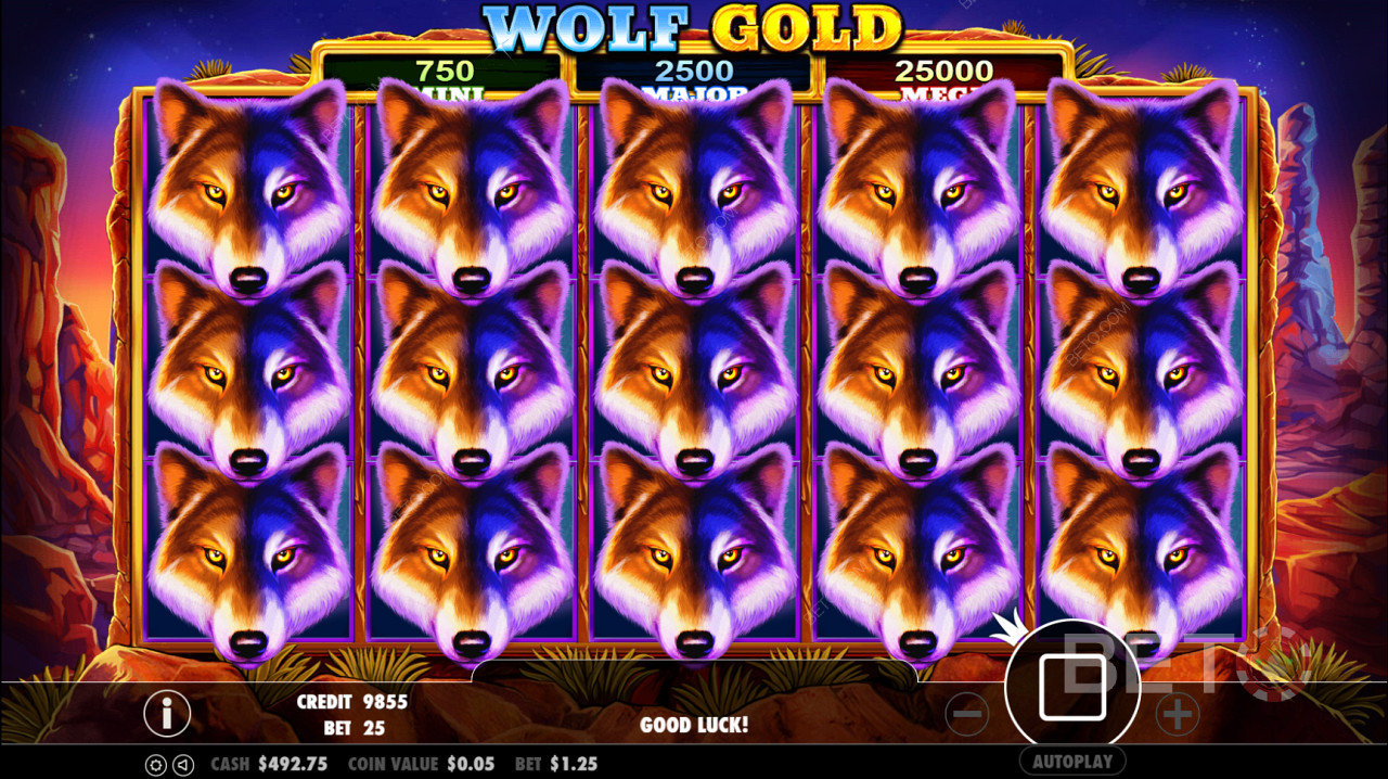 Symbol Scatter Wolf Gold spustí kolo Free Spin.