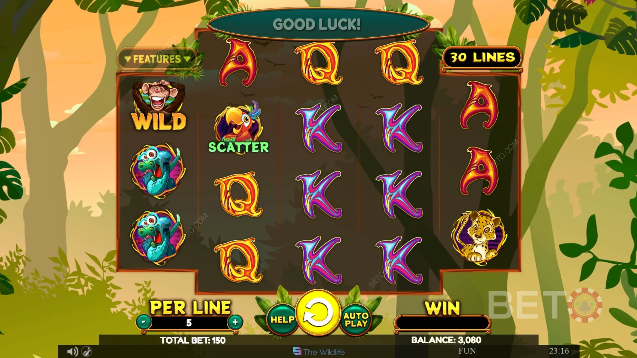 Wacky Monkey Recenze podle BETO Slots