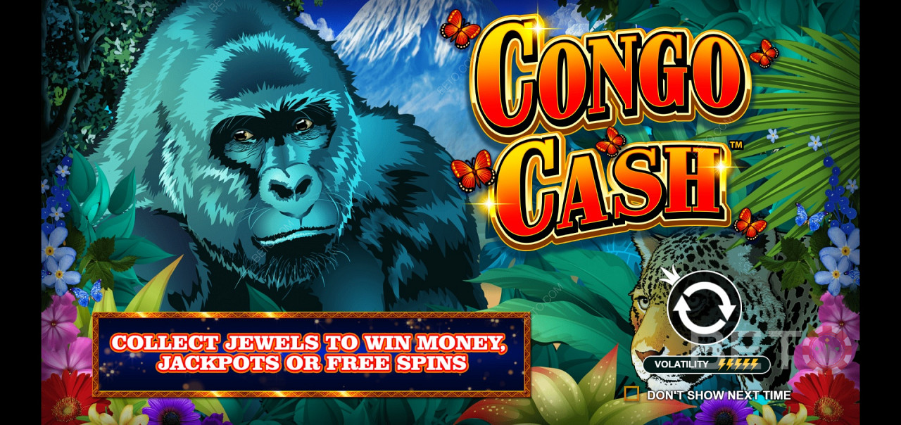 Congo Cash - vydejte se se Silverbackem na dobrodružnou výpravu do džungle