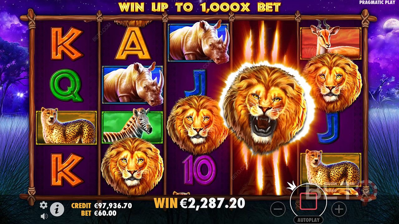Safari King (Pragmatic Play)  Hrát Zdarma