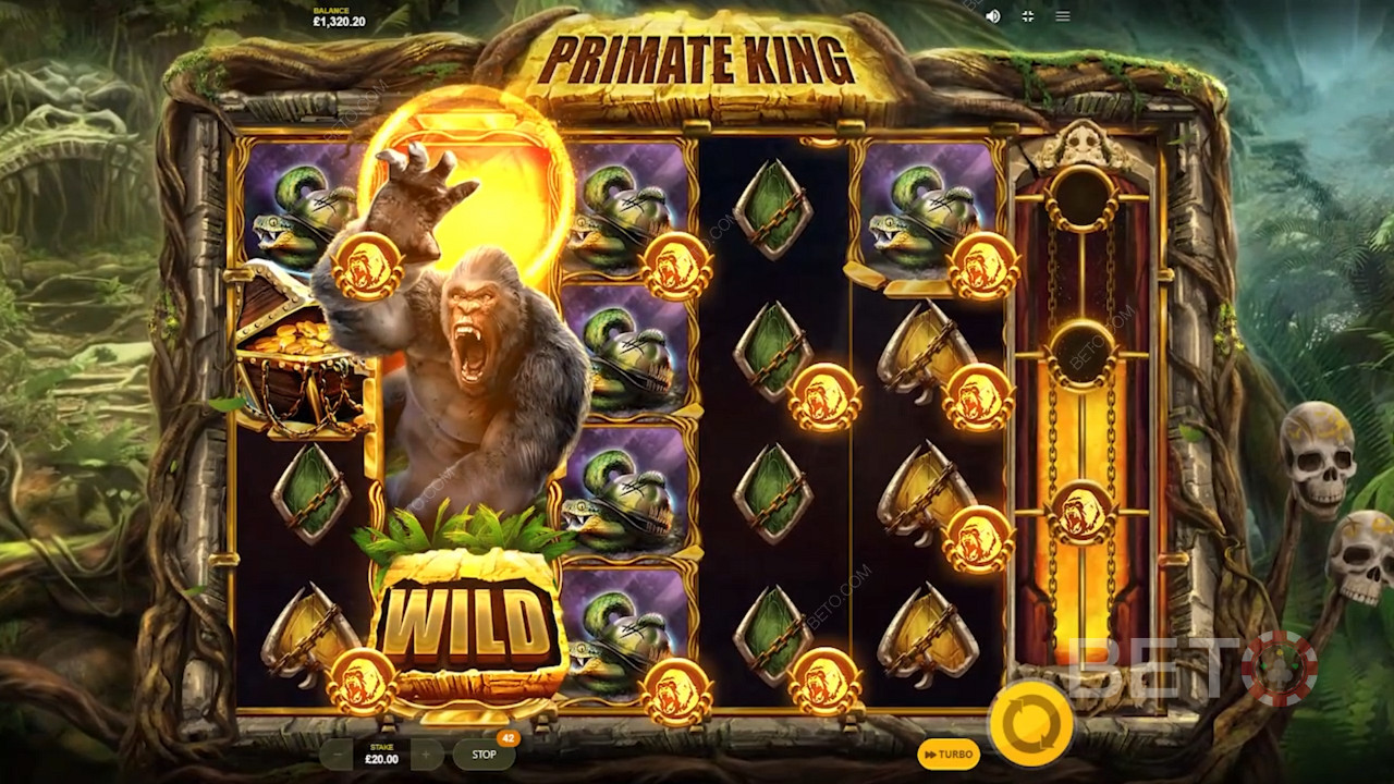 Primate King od Red Tiger Gaming je vybaven spoustou skvělých bonusových funkcí.
