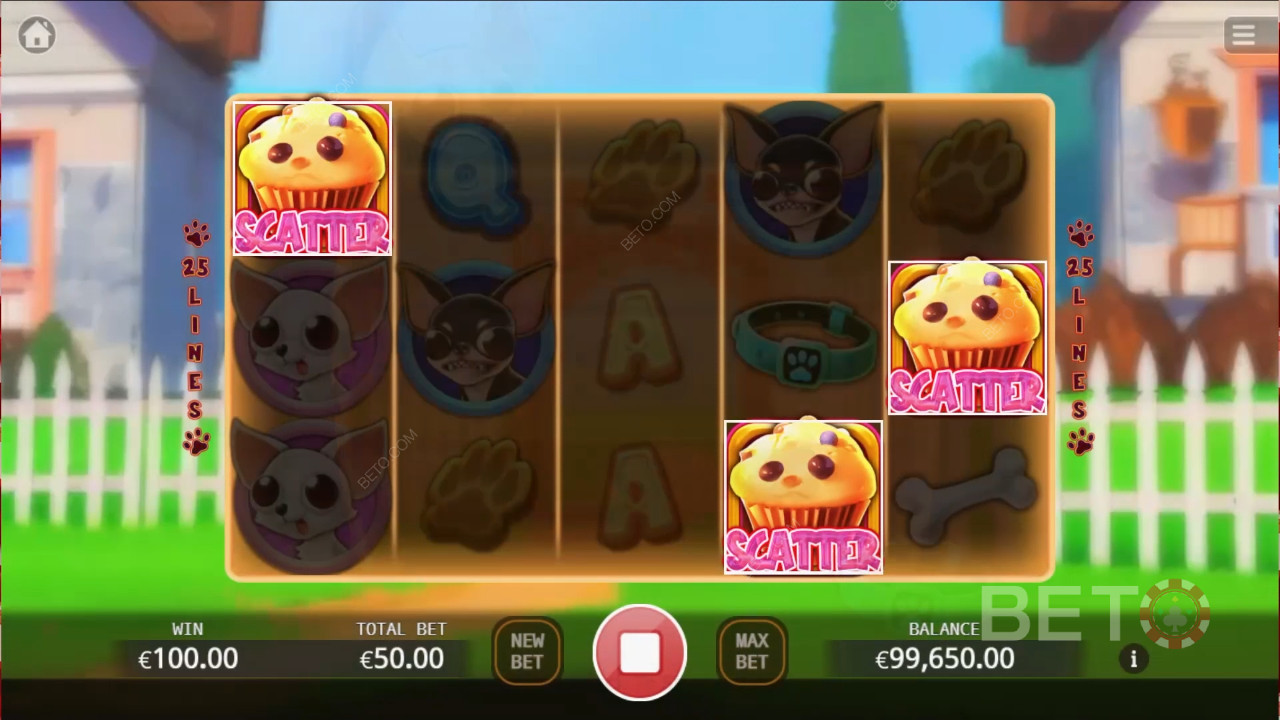 Chihuahua Party Recenze podle BETO Slots