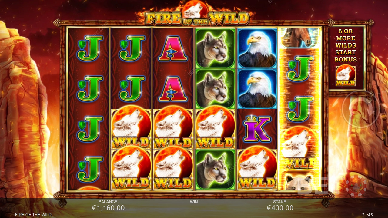 Fire of the Wild Recenze podle BETO Slots