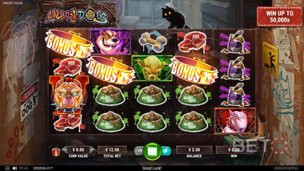 Angry Dogs Hrát Zdarma