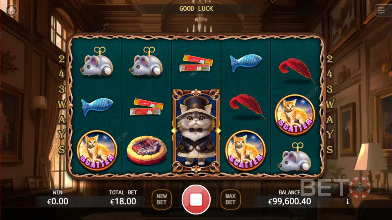 Noble Cat Recenze podle BETO Slots