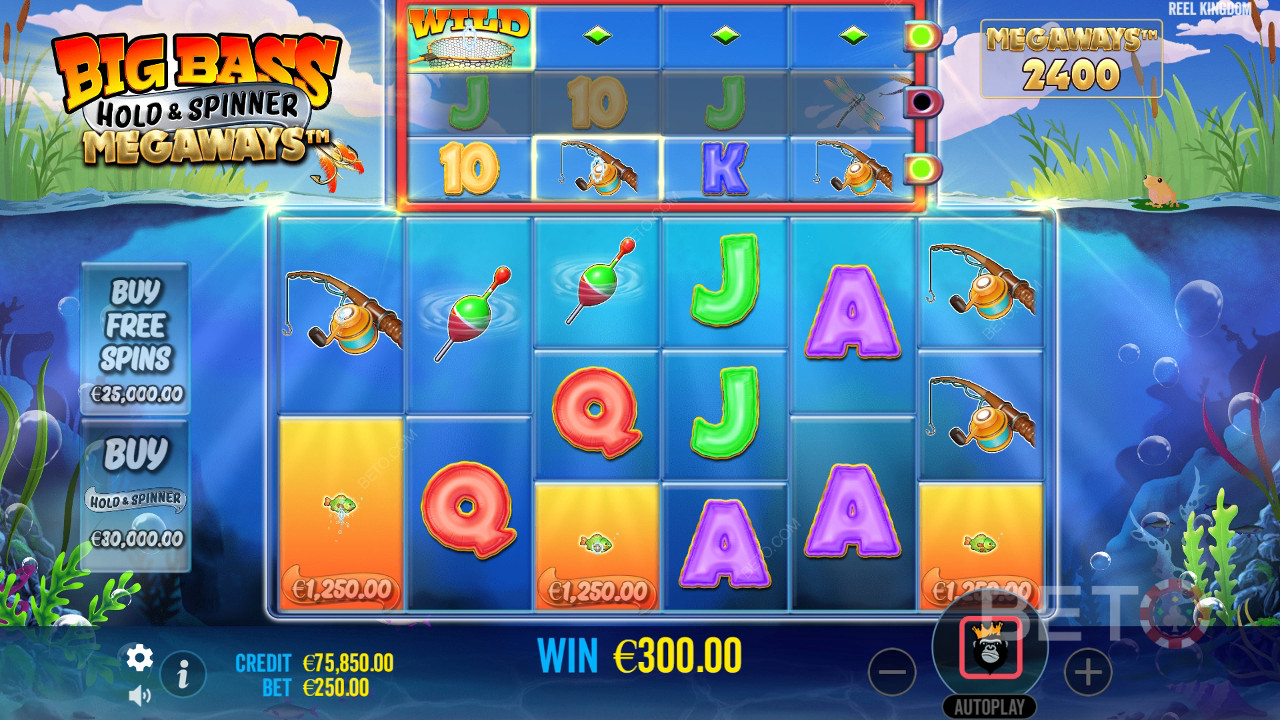 Jak hrát Reel Kingdom