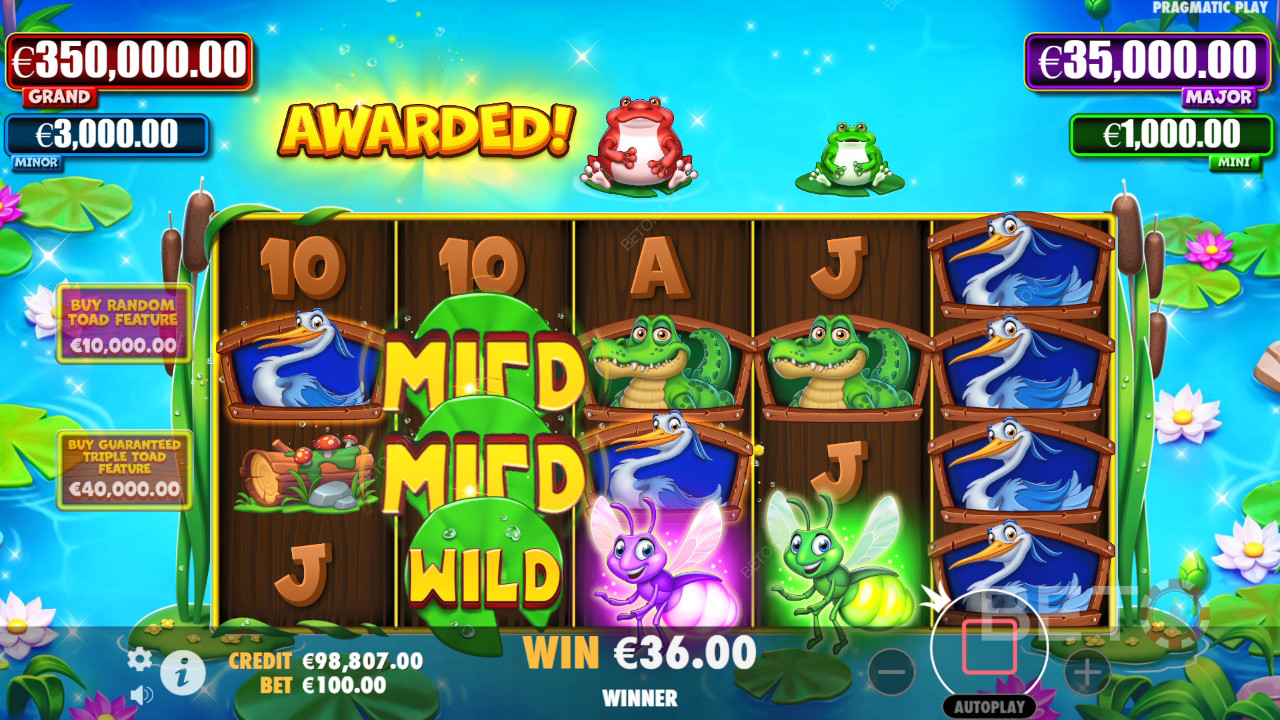 Tiny Toads Hrát Zdarma