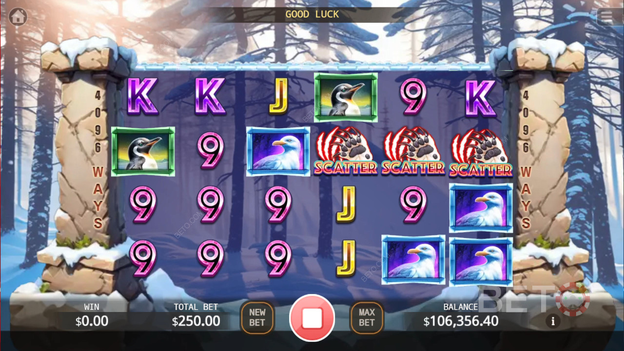Bear Paw Legend Plus Recenze podle BETO Slots