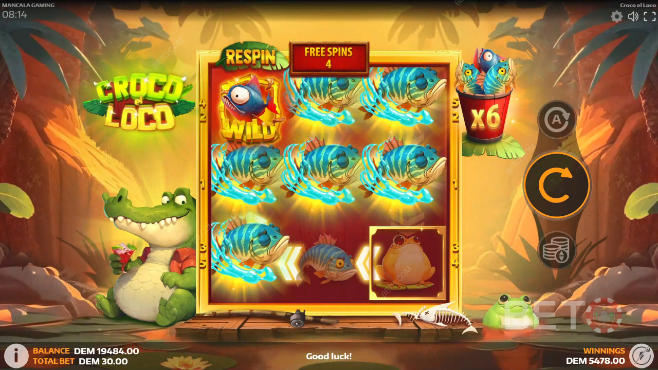 Croco el Loco Recenze podle BETO Slots