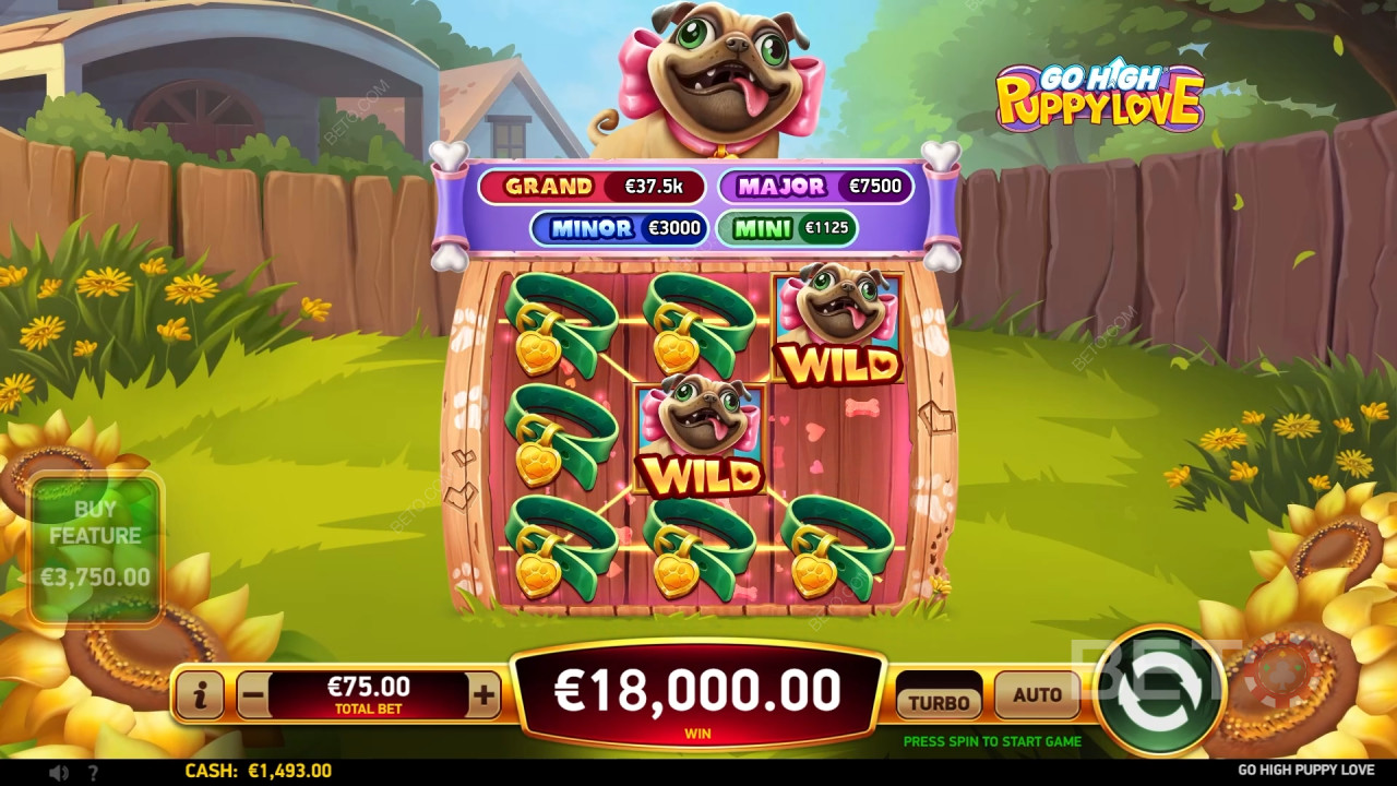 Go High Puppy Love Recenze podle BETO Slots
