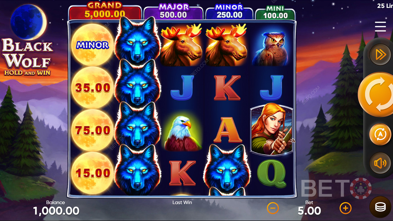 Ulovte si skutečné peněžní výhry v majestátní džungli ve hře Black Wolf Slot Game.