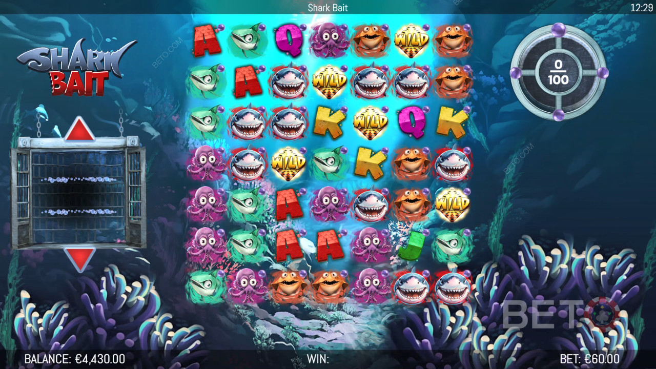 Vysvětlení bonusových funkcí ve hře Shark Bait by Hungry Bear