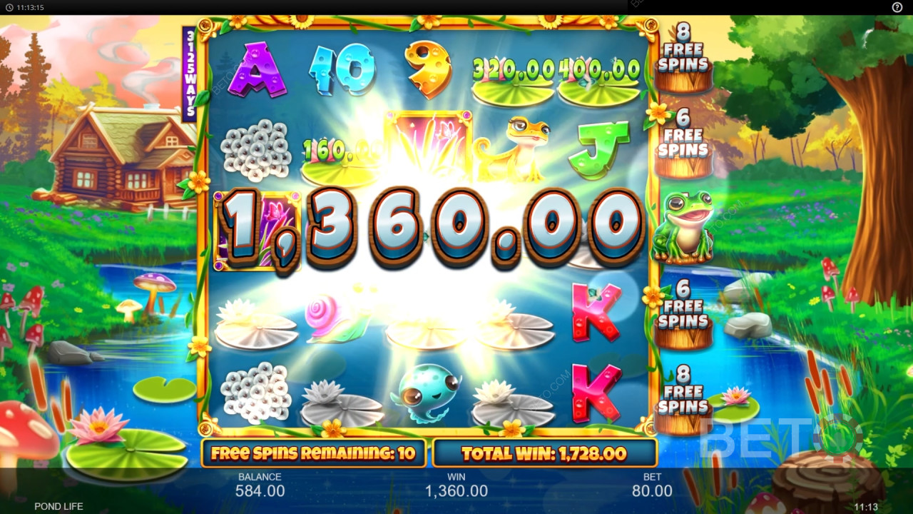 Pond Life Recenze podle BETO Slots