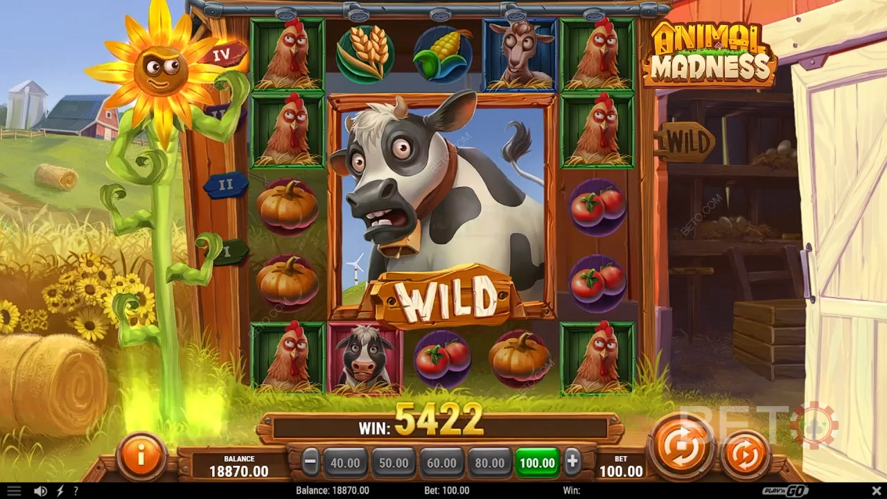 Zvířecí šílenství Recenze podle BETO Slots