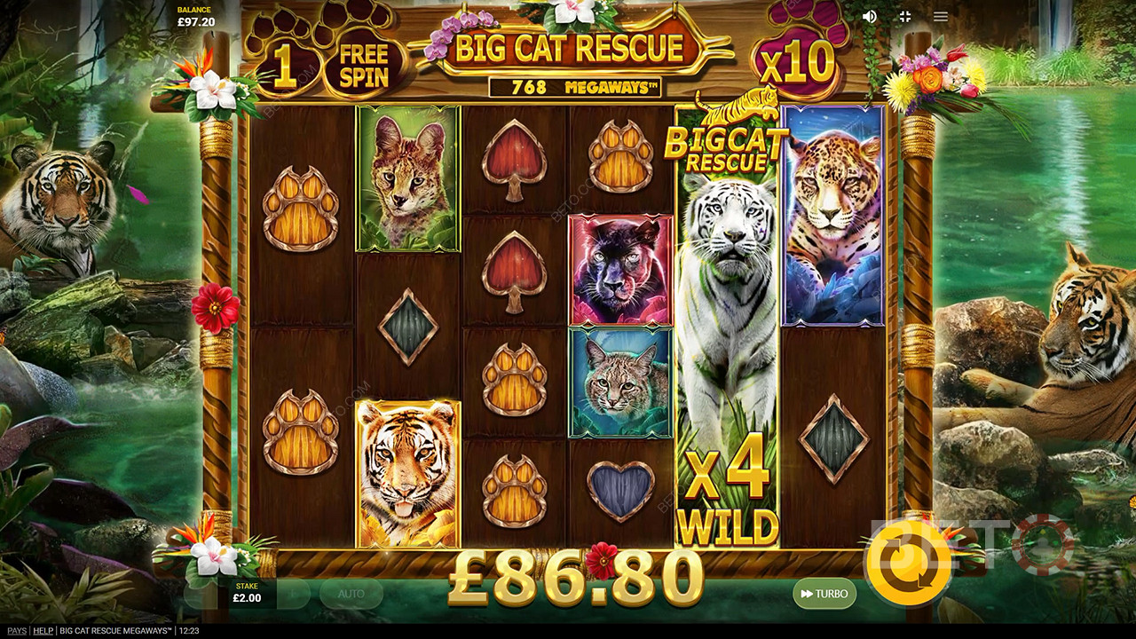 Big Cat Rescue Megaways Hrát Zdarma