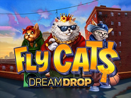 Czech: Fly Cats Dream Drop Demo