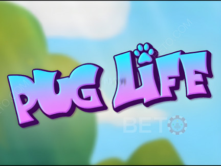 Czech: Pug Life Demo