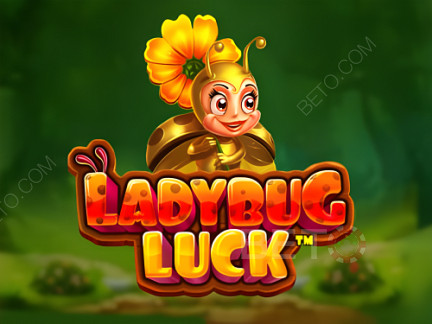 Czech: Ladybug Luck  Demo
