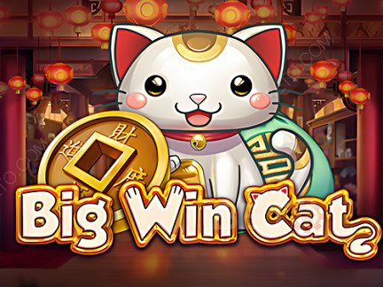 Czech: Big Win Cat Demo