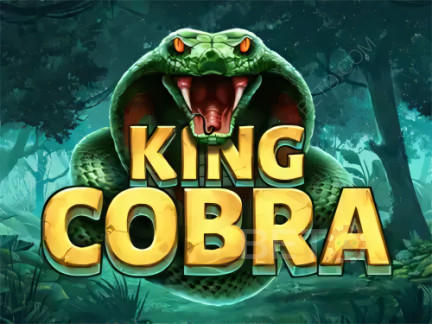 Czech: King Cobra Demo