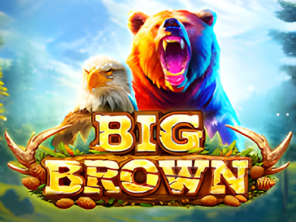 Czech: Big Brown Demo