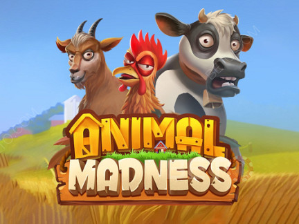 Czech: Animal Madness Demo