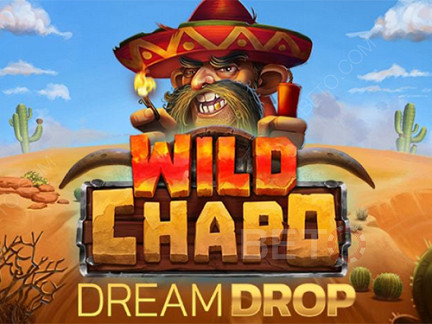 Czech: Wild Chapo Dream Drop Demo
