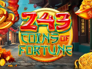 243 Coins of Fortune